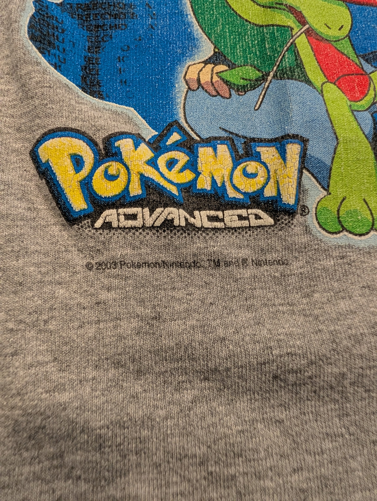 2003 Youth Pokemon Advanced Pikachu Treecho & Ash T-shirt