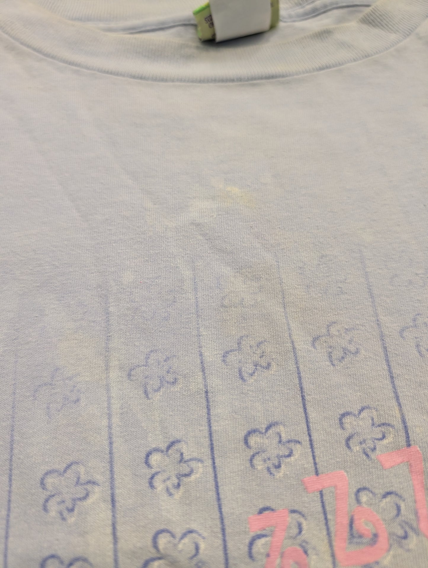 2000 Scooby-Doo Cartoon Leading a Dog's Life Night Shirt