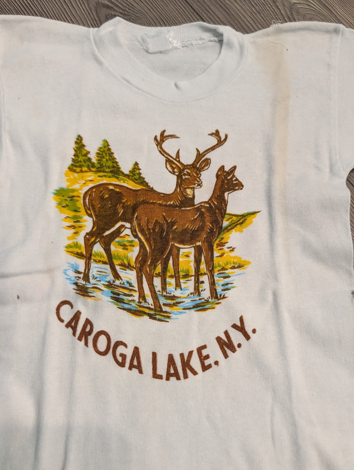 60's/70's Youth Caroga Lake NY T shirt