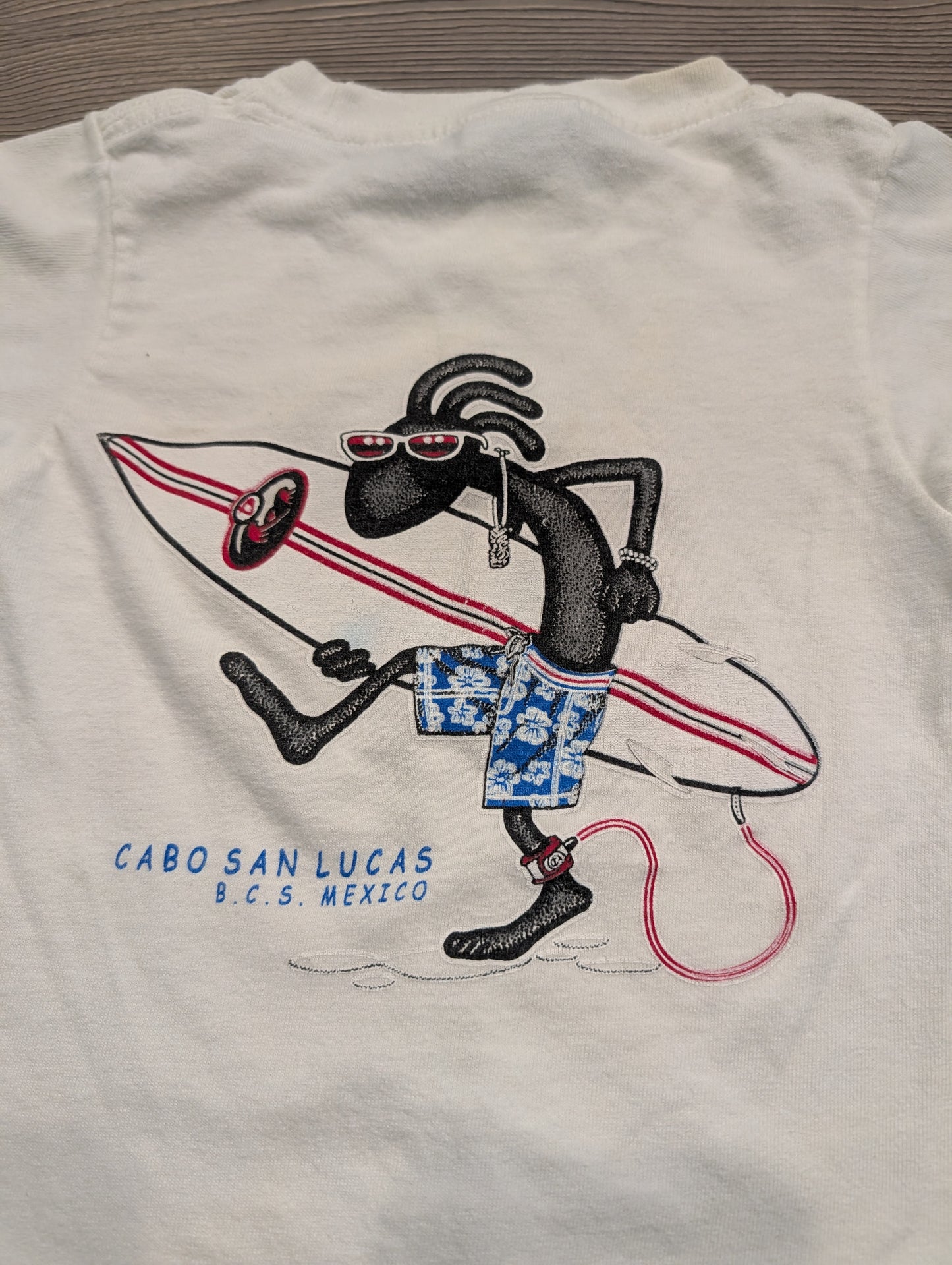 Y2K Youth Cabo San Lucas B.C.S Mexico Surfer t shirt