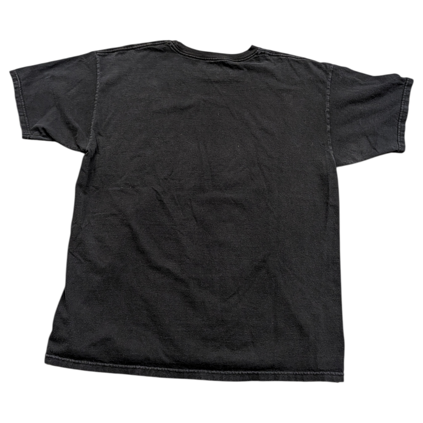 Y2K Rook Big Face Lion t shirt