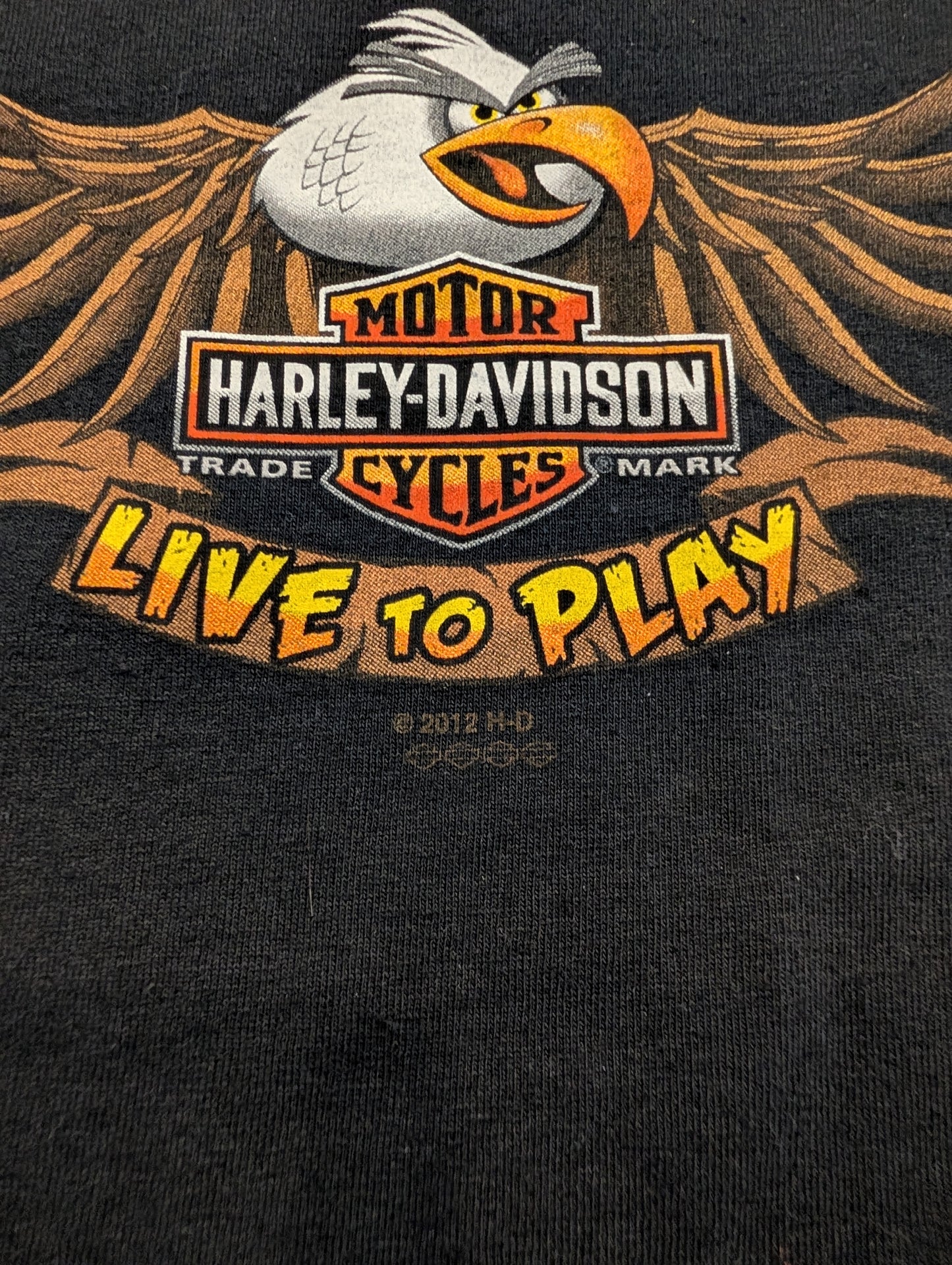 2012 Youth Live to Play Harley Davidson T shirt