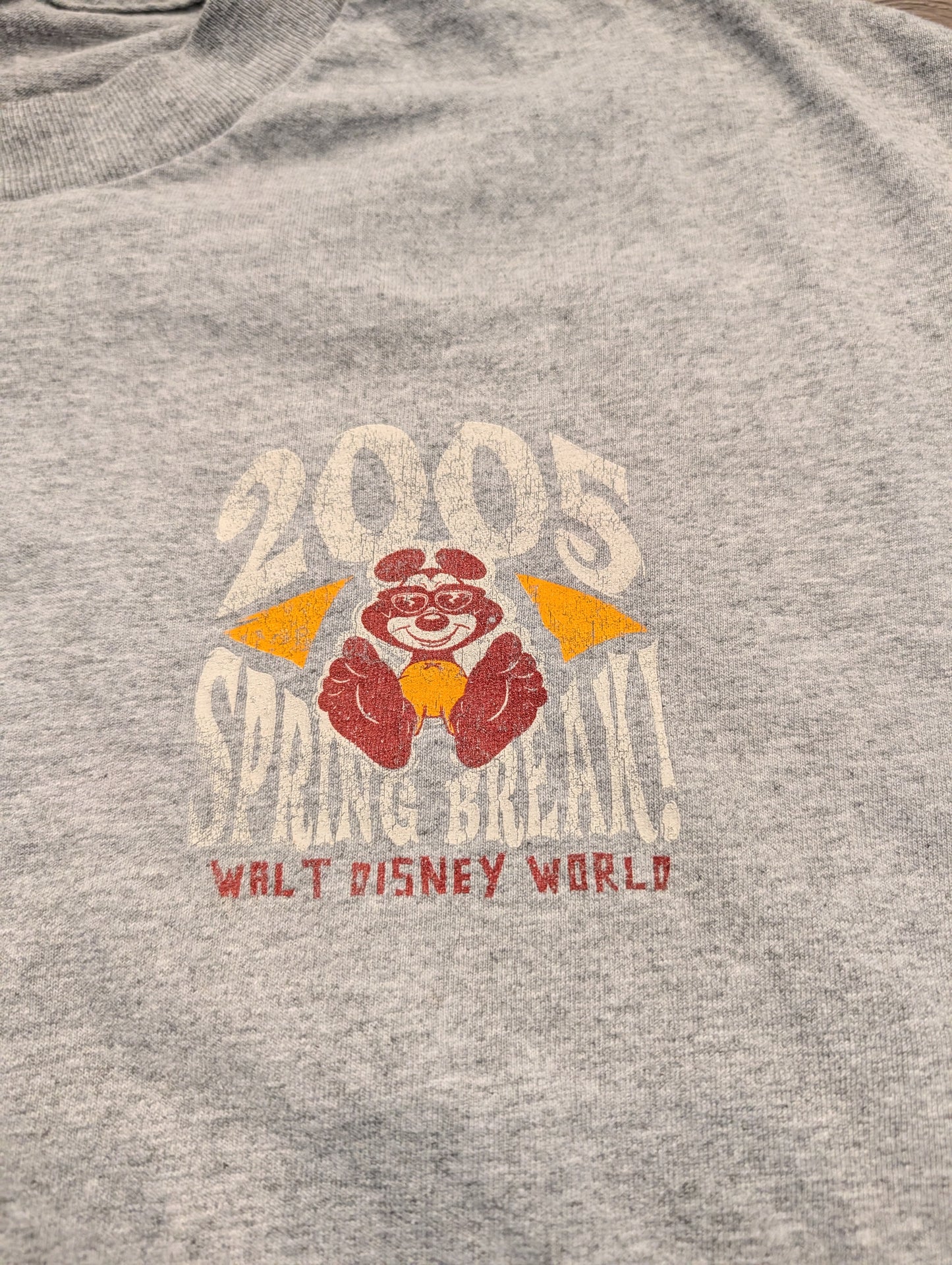 2005 Walt Disney World Magic Festival Spring Break short-sleeved T-shirt