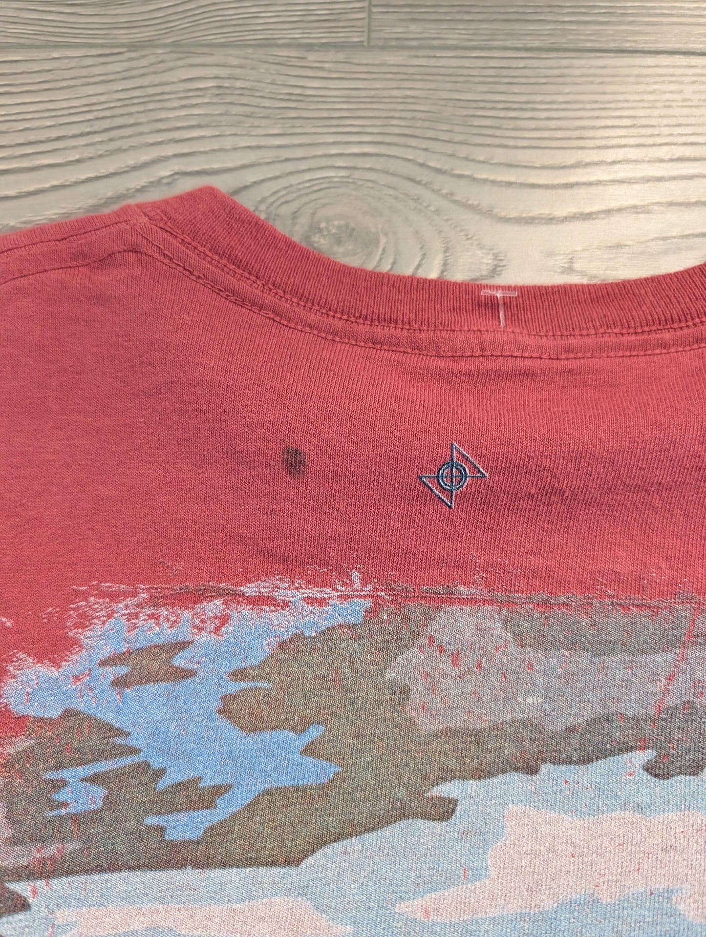 Mid 200's Grand Canyon The Mountain Test print Tee shirt