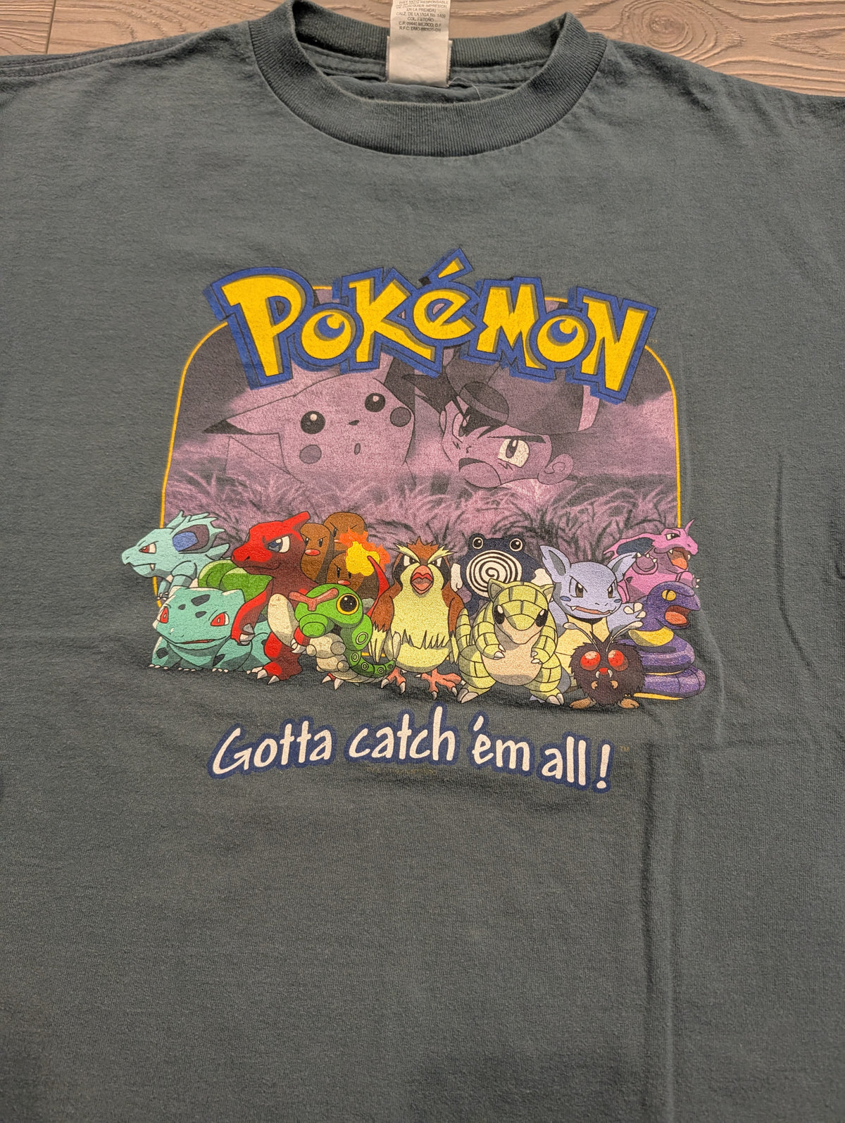 1999 Youth Pokémon Gotta Catch'em all! shadow graphic of Ash and Pikachu with Gang T-shirt