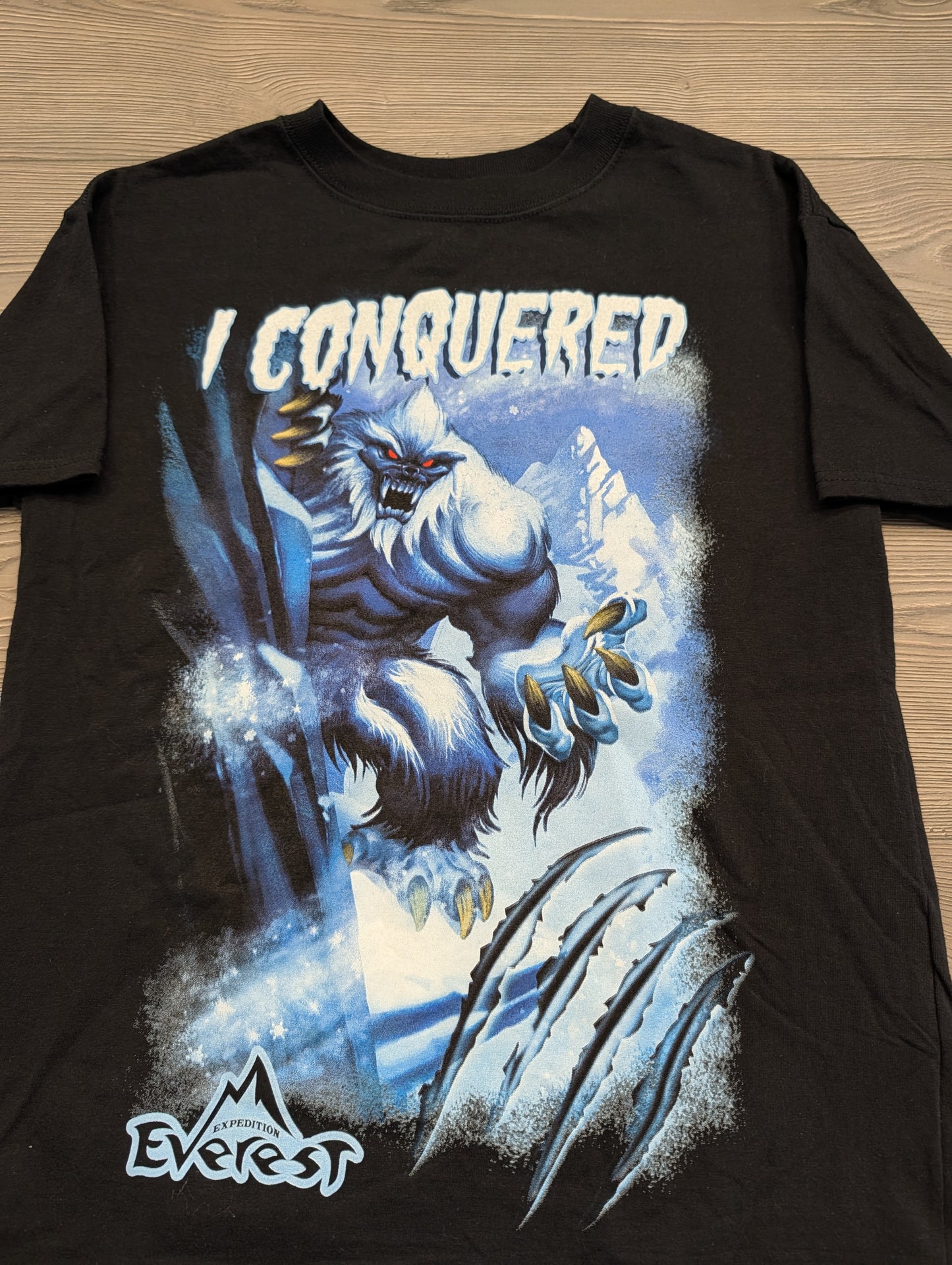Y2K Youth Disney I Conquered Expedition Everest t shirt