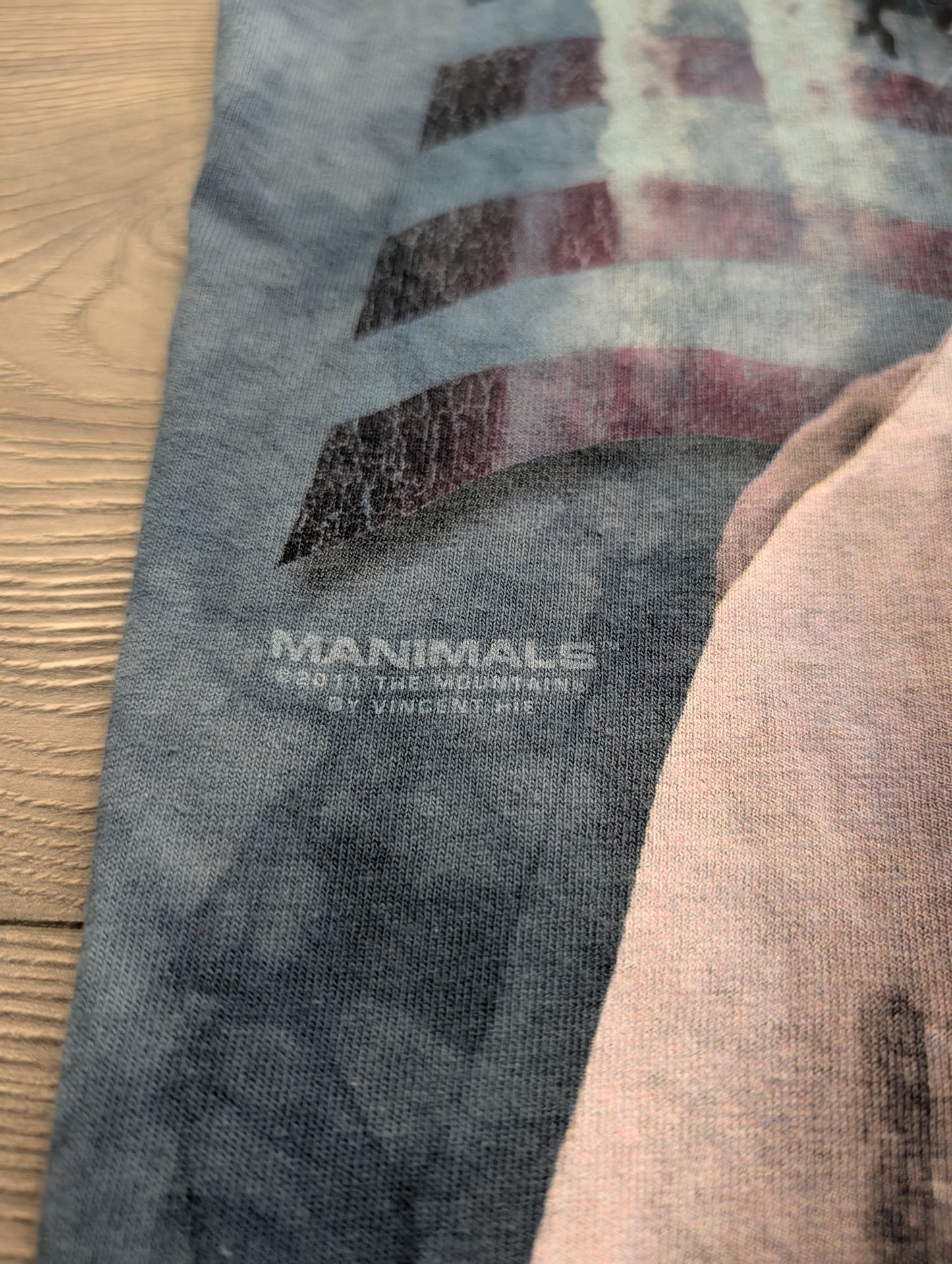 2011 American Bald Eagle Pilot The Mountain T shirt