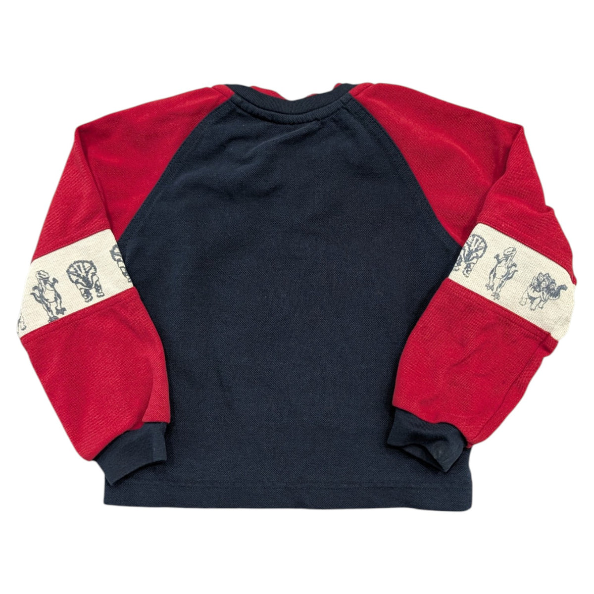 90s/Y2K Youth T Rex Dinosaur Long Sleeve Block Colored Shirt