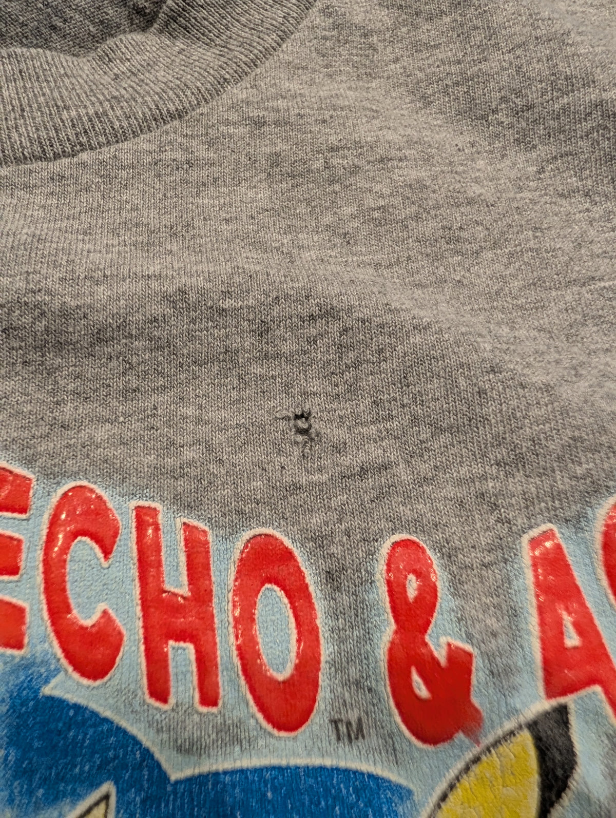 2003 Youth Pokemon Advanced Pikachu Treecho & Ash T-shirt