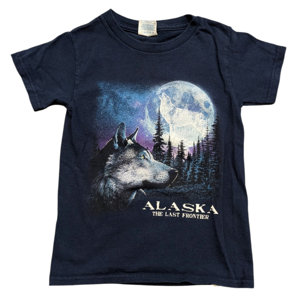 Y2K Youth Alaska the Last Frontier Short Sleeve T shirt