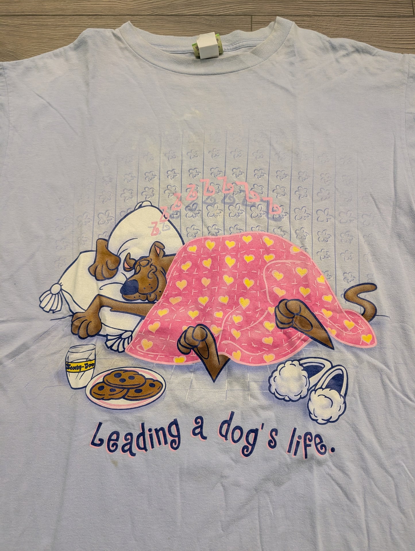 2000 Scooby-Doo Cartoon Leading a Dog's Life Night Shirt