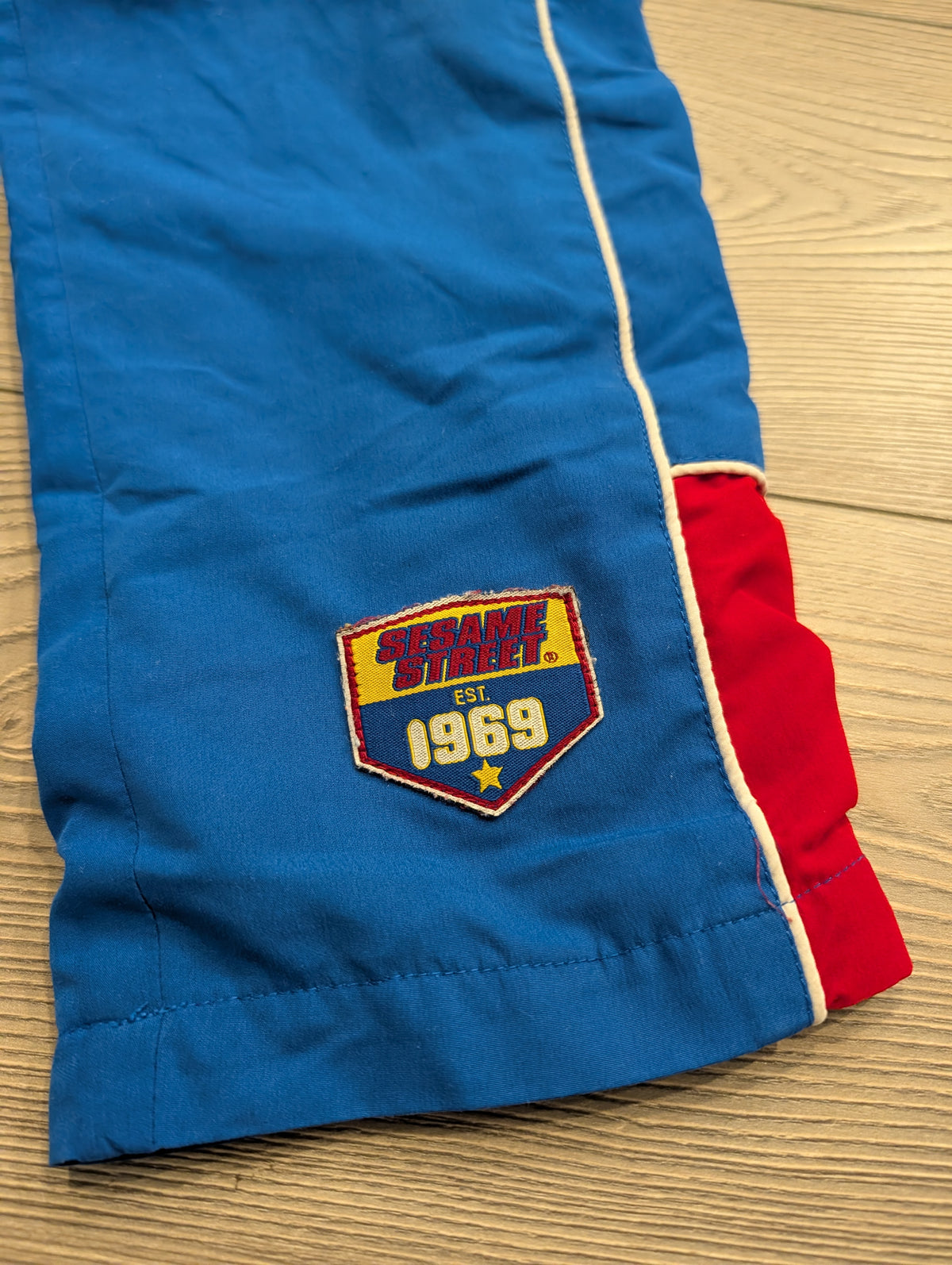 Y2K Youth Sesame Street Lined Track Pants