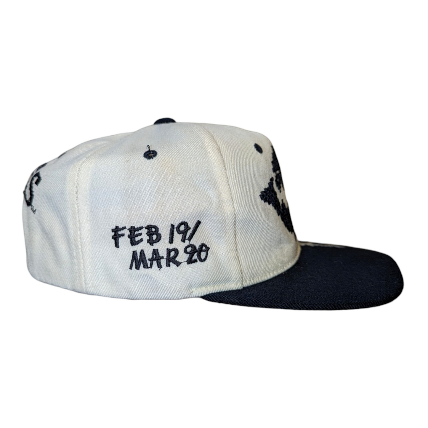 90s Pisces Astrology snapback hat