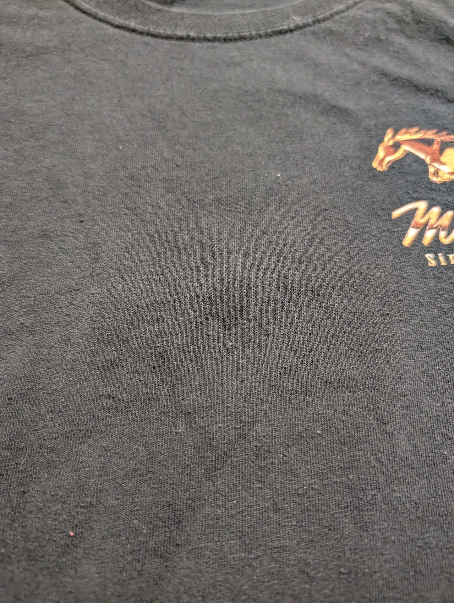 Y2K Mustang Since 1964 T shirt