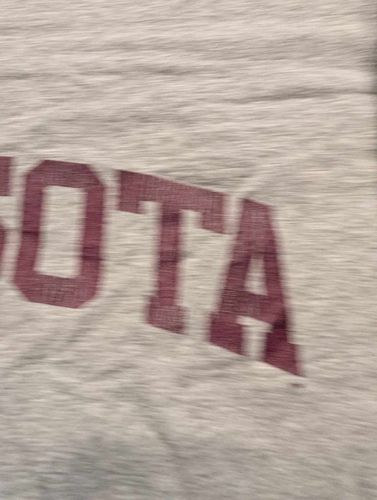 Y2K Minnesota University Champion T shirt
