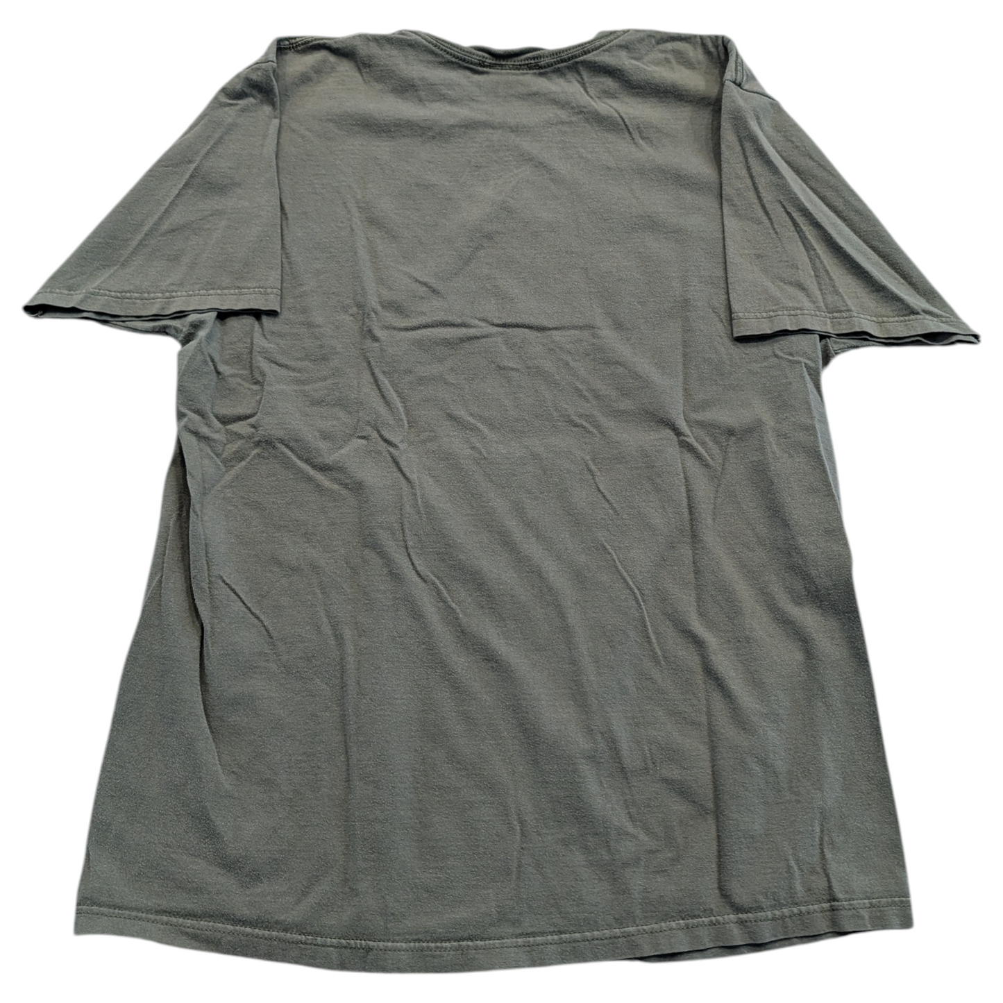 Mid 2000's Disney's Animal Kingdom Go Green Tree T shirt