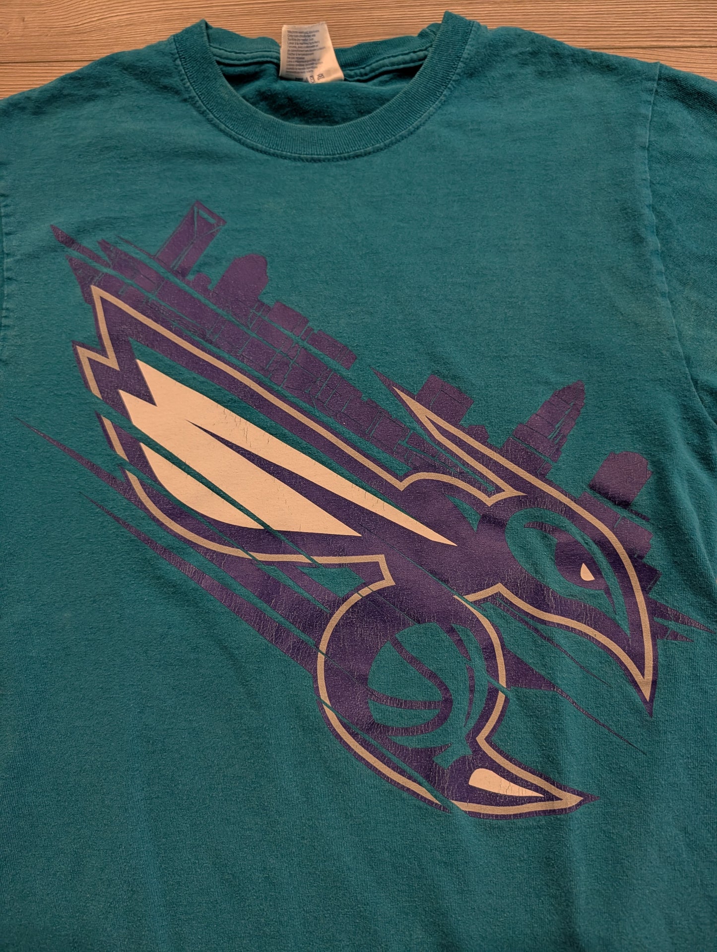90s/Y2K NBA Charlotte Hornets Basketball Graphic Short Sleeve T shirt