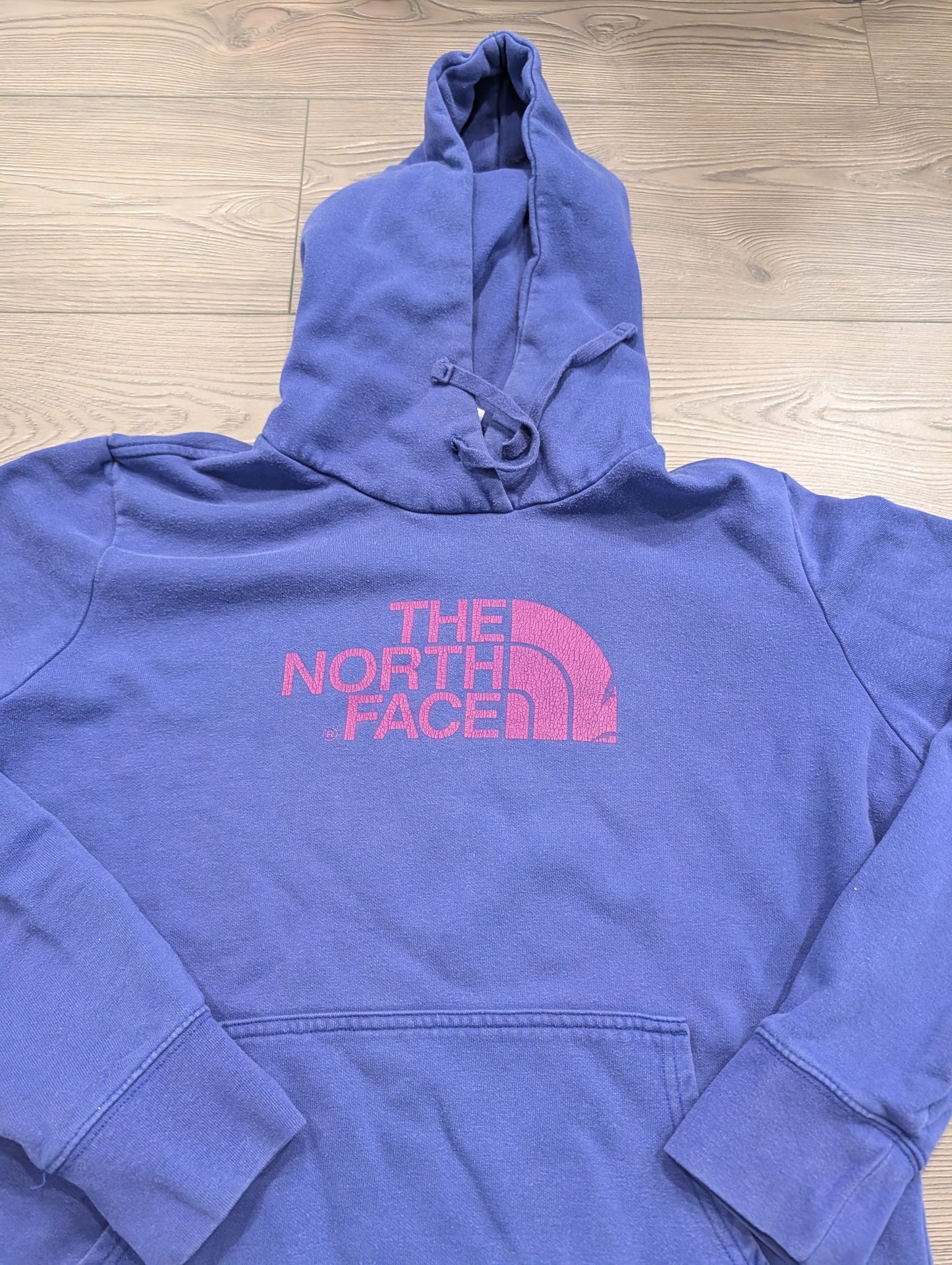 Y2K Women's North Face Hoodie Sweatshirt