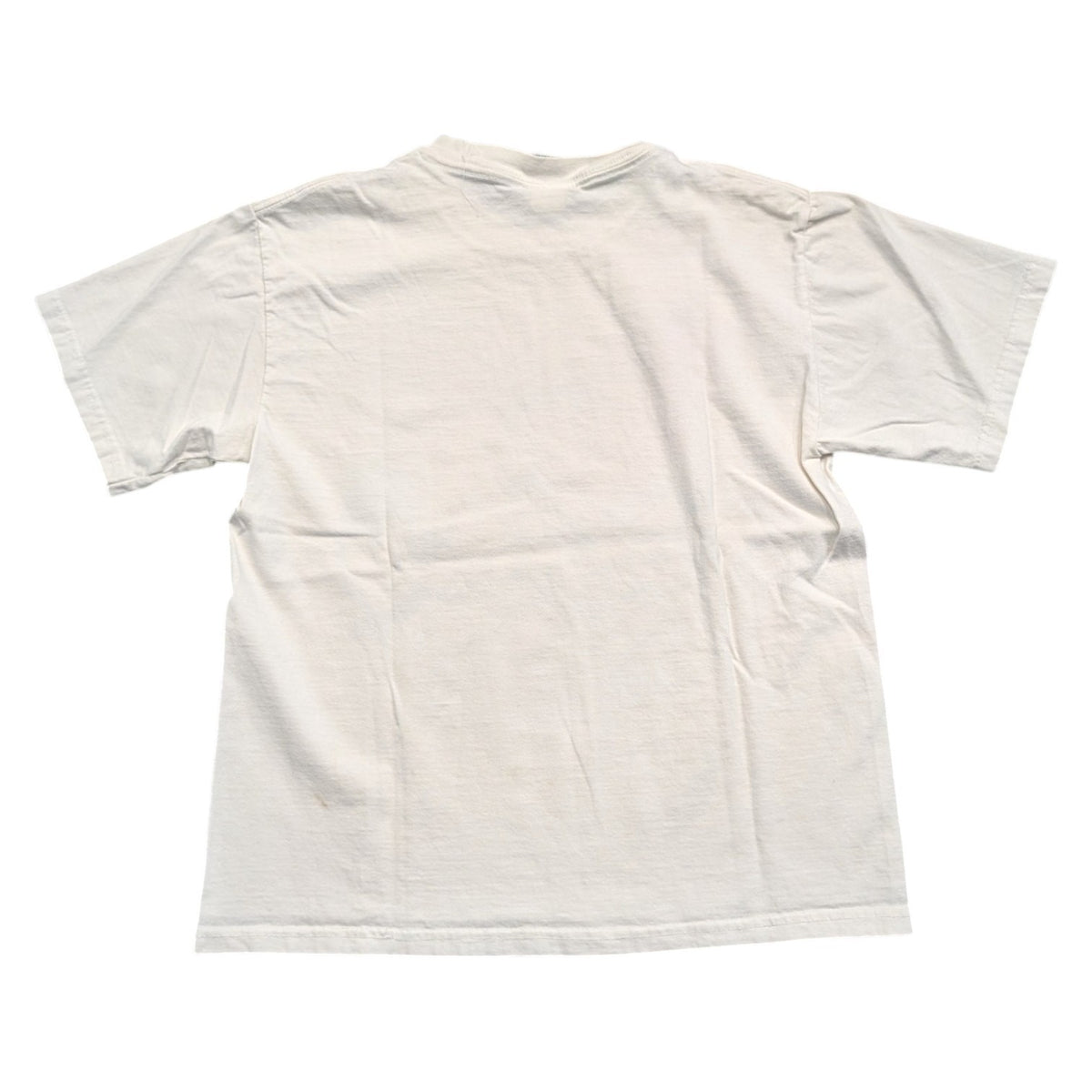 2000 Youth Pokémon Crew of Characters Graphic T-shirt