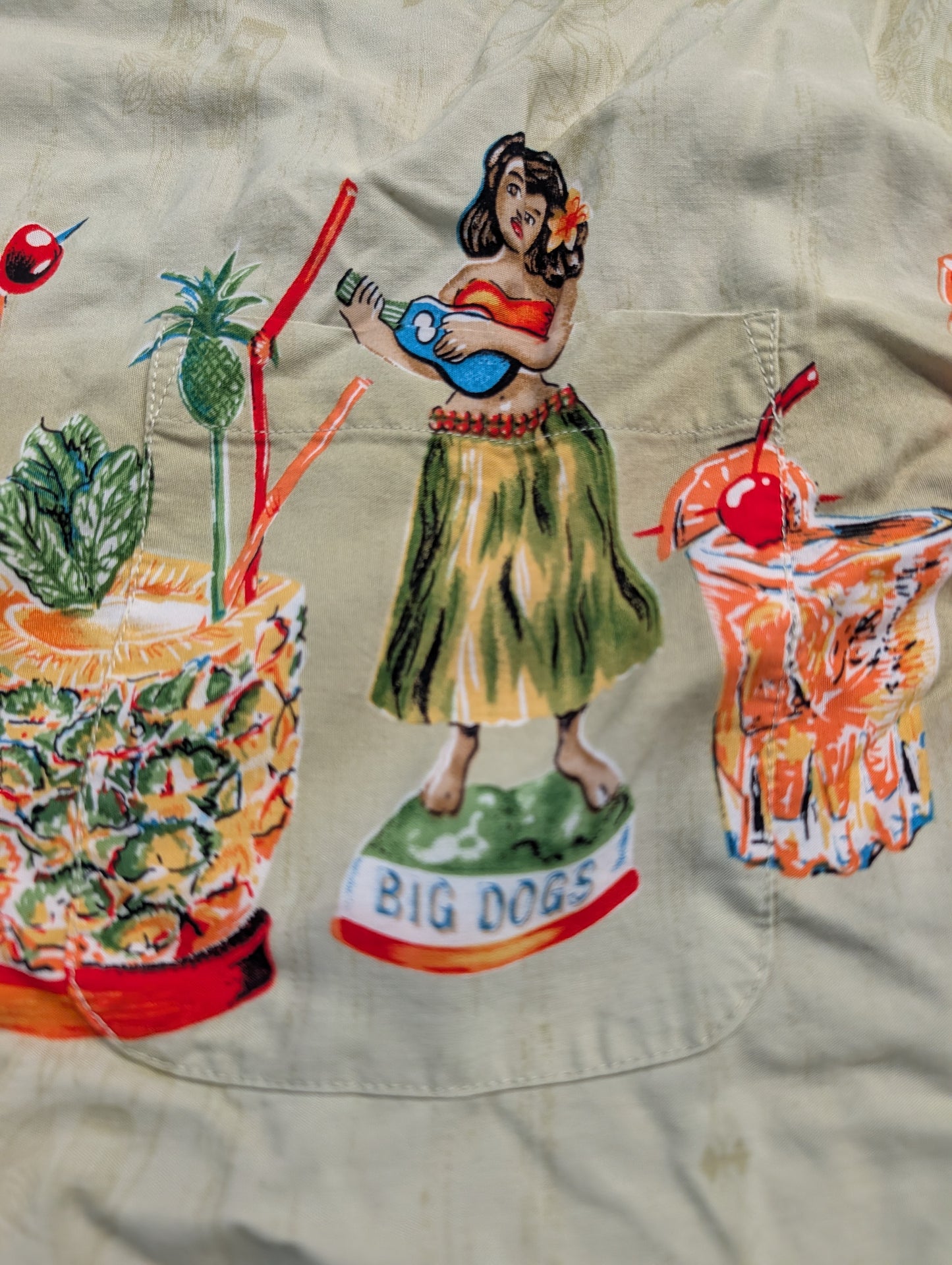 It's 5 O'clock Somewhere AOP Big Dogs Button Up Shirt
