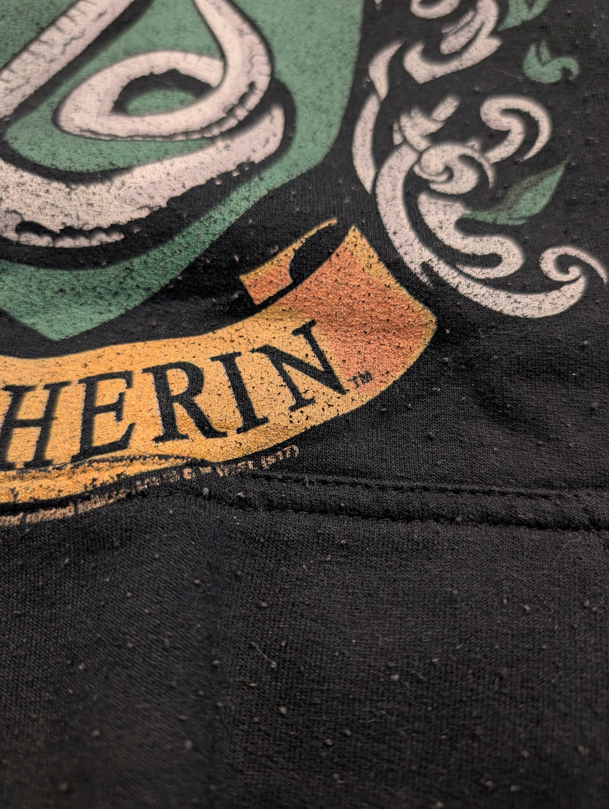 Harry Potter Slytherin Coat of Arms Hooded Sweatshirt